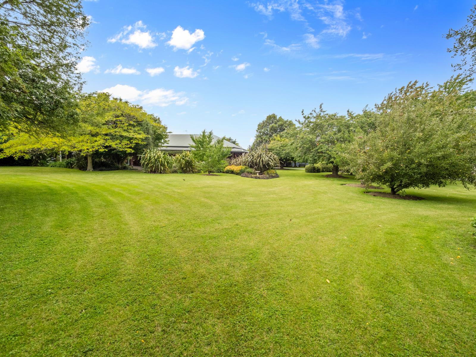 104 Bridge Street , Netherby