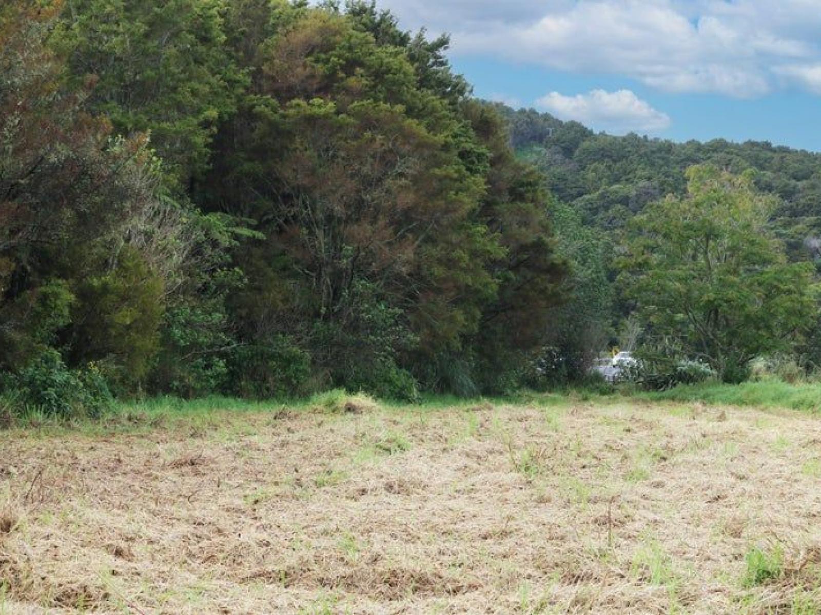 843 Whangarei Heads Road, Parua Bay