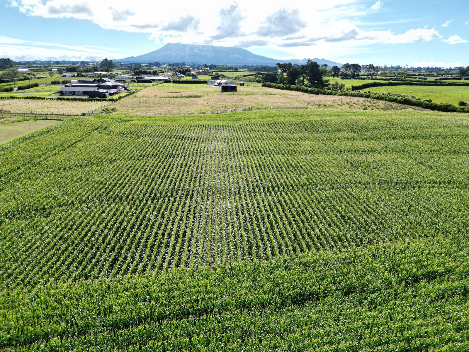 Monmouth Road, Stratford