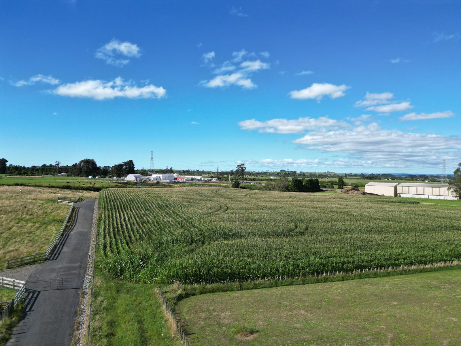 Monmouth Road, Stratford