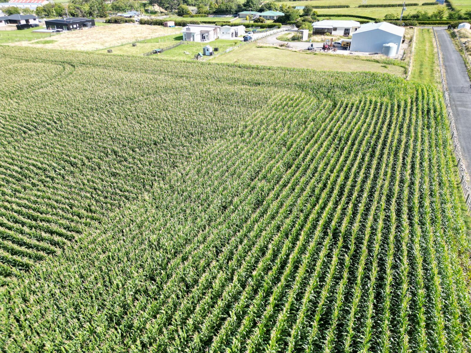 Monmouth Road, Stratford