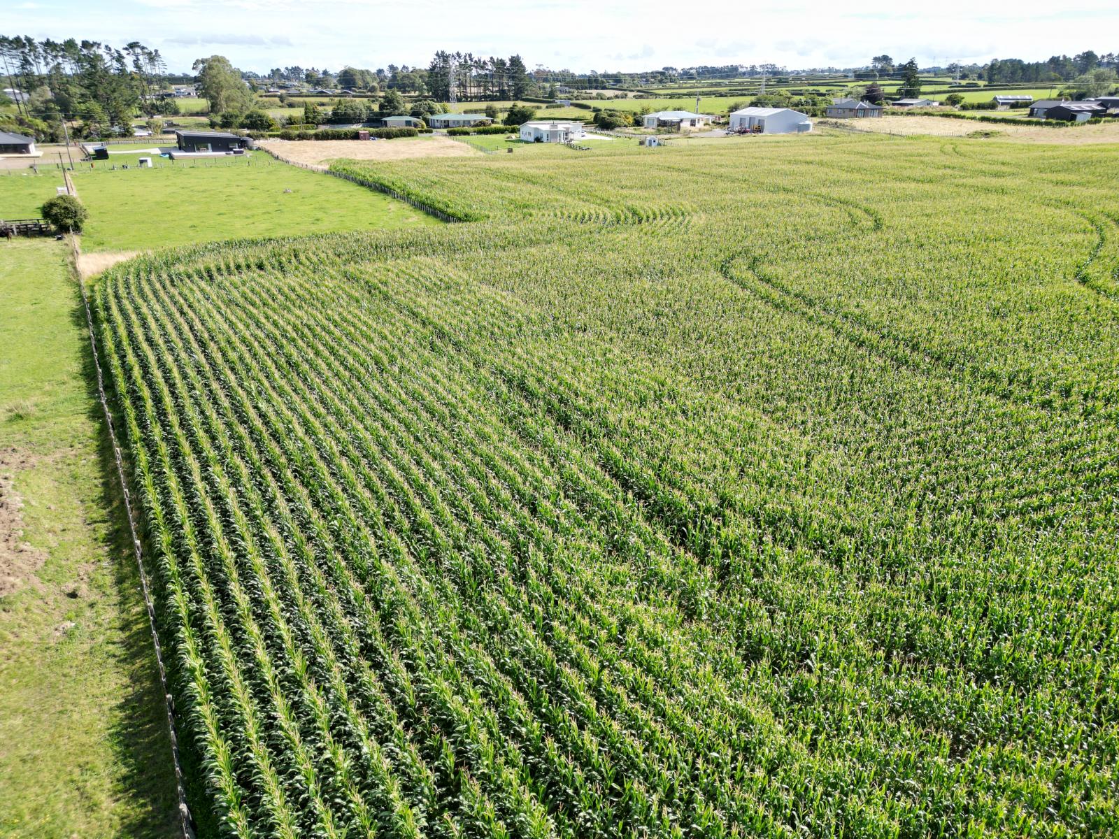 Monmouth Road, Stratford