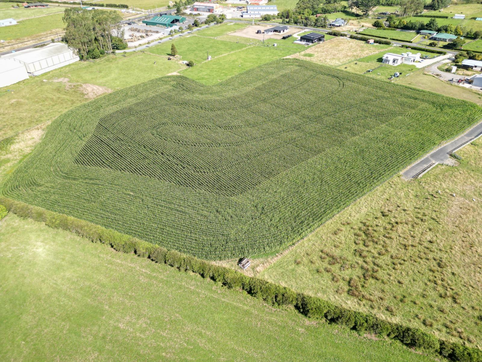 Monmouth Road, Stratford