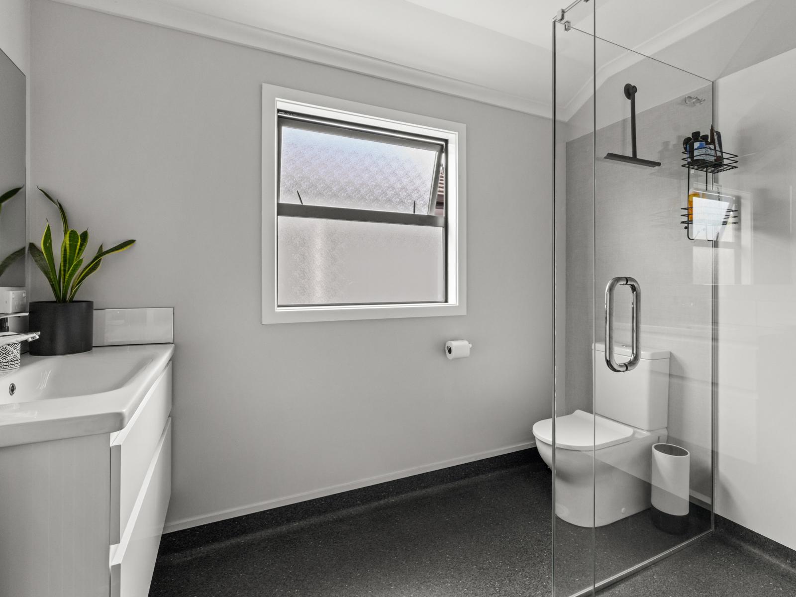 1008A Frances Street, Akina