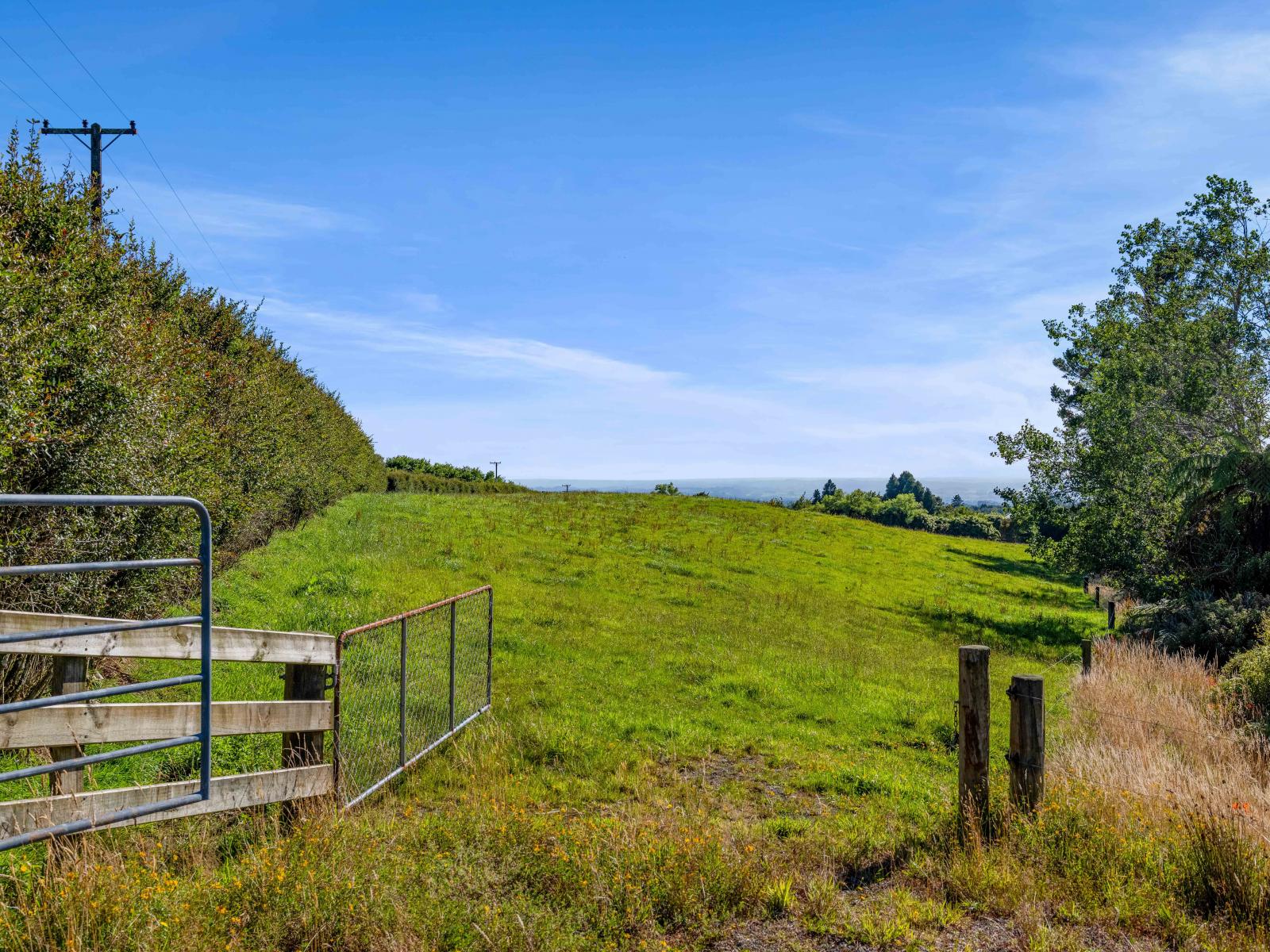 2175 Egmont Road, Kaimiro