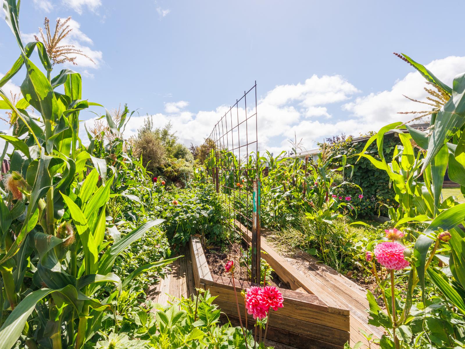 30 Pharazyn Street, Feilding
