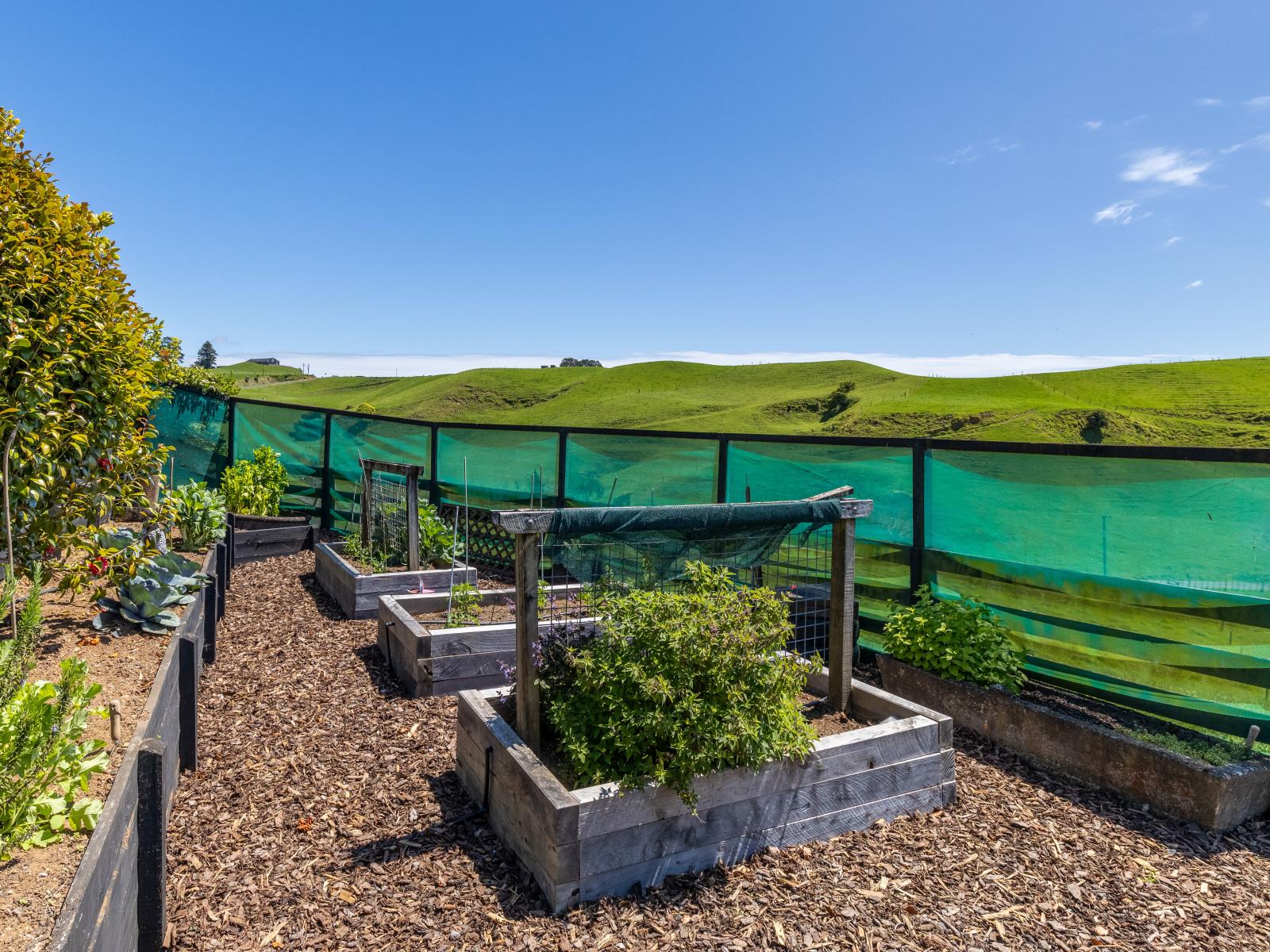 79 Dorset Road, Hillsborough