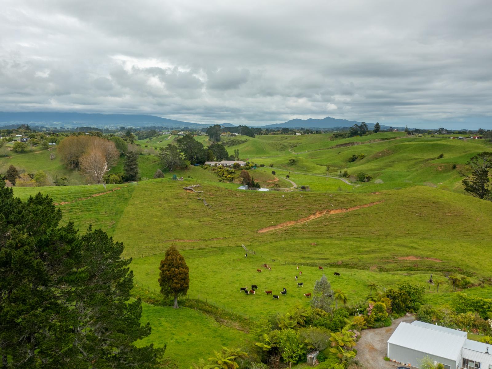 79 Dorset Road, Hillsborough