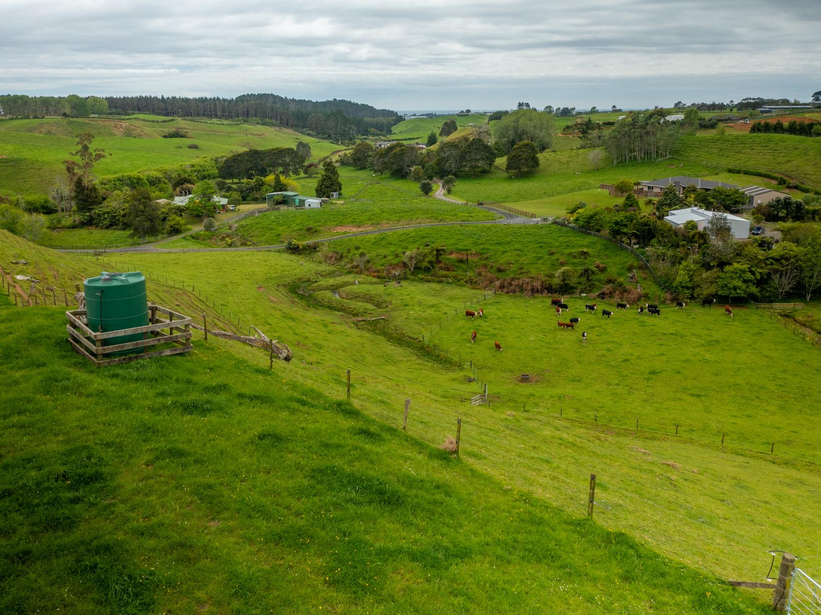 79 Dorset Road, Hillsborough