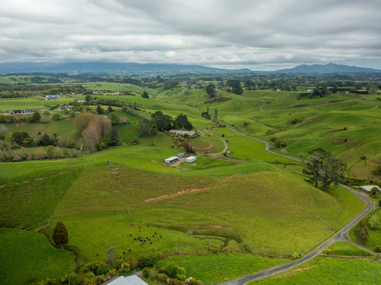 79 Dorset Road, Hillsborough