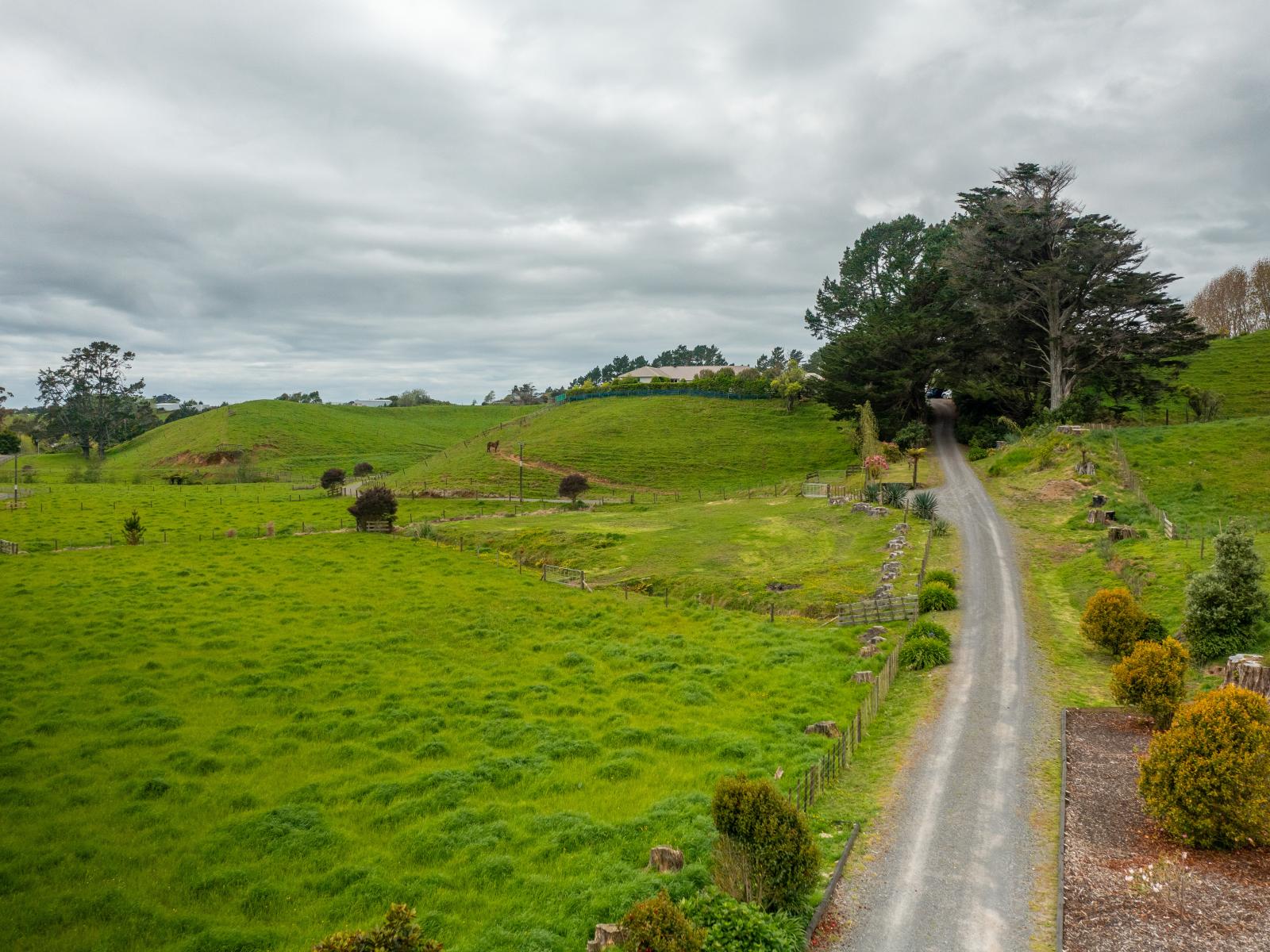 79 Dorset Road, Hillsborough