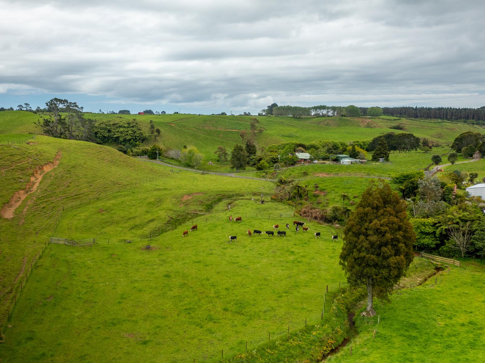 79 Dorset Road, Hillsborough