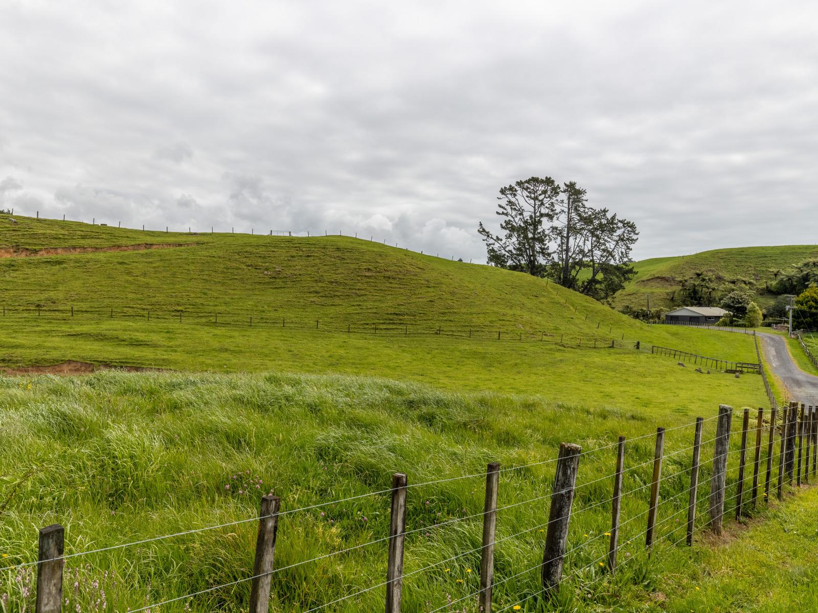 79 Dorset Road, Hillsborough