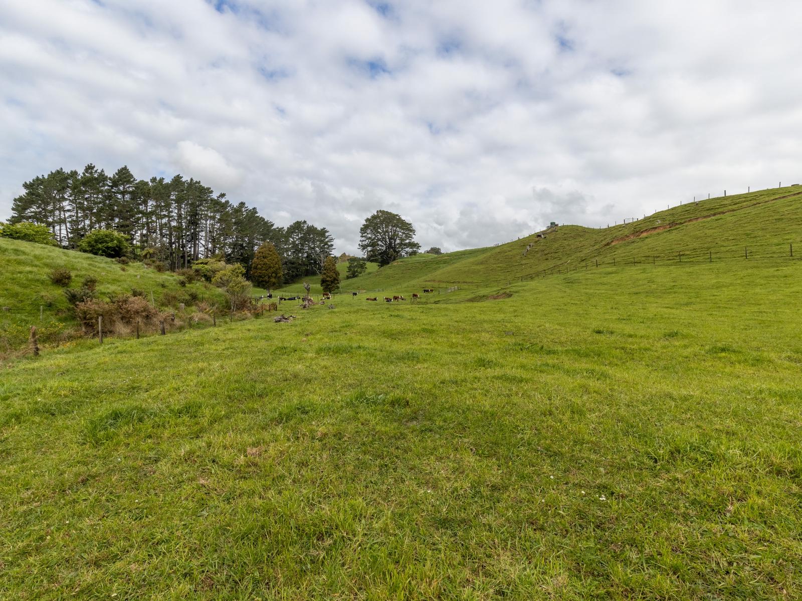 79 Dorset Road, Hillsborough