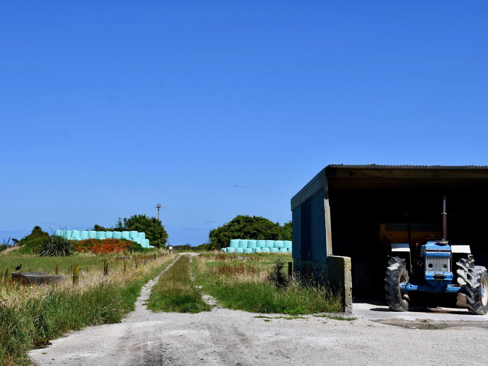 302 Kohaihai Road, Karamea