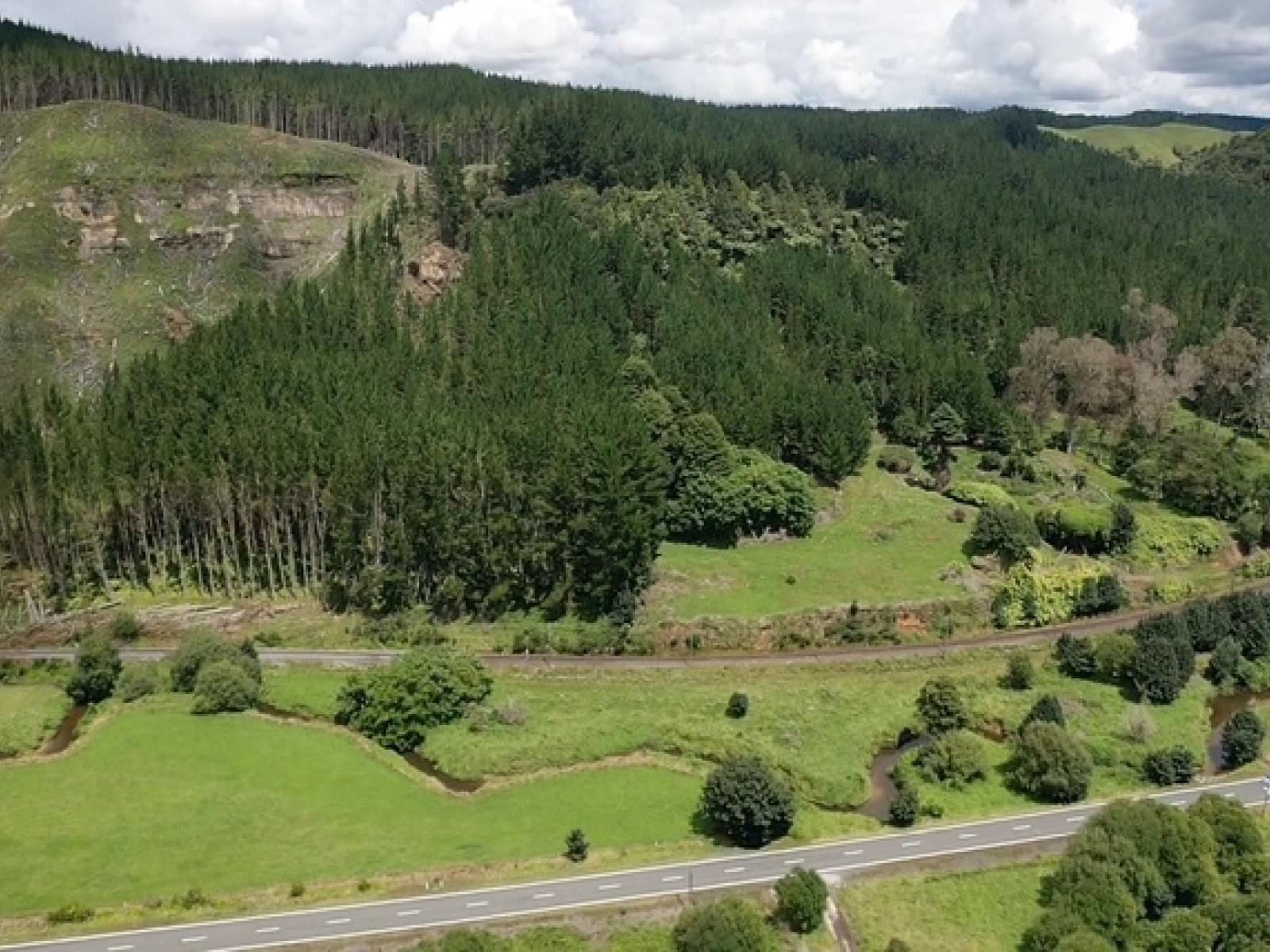 00 State Highway 30, Kopaki