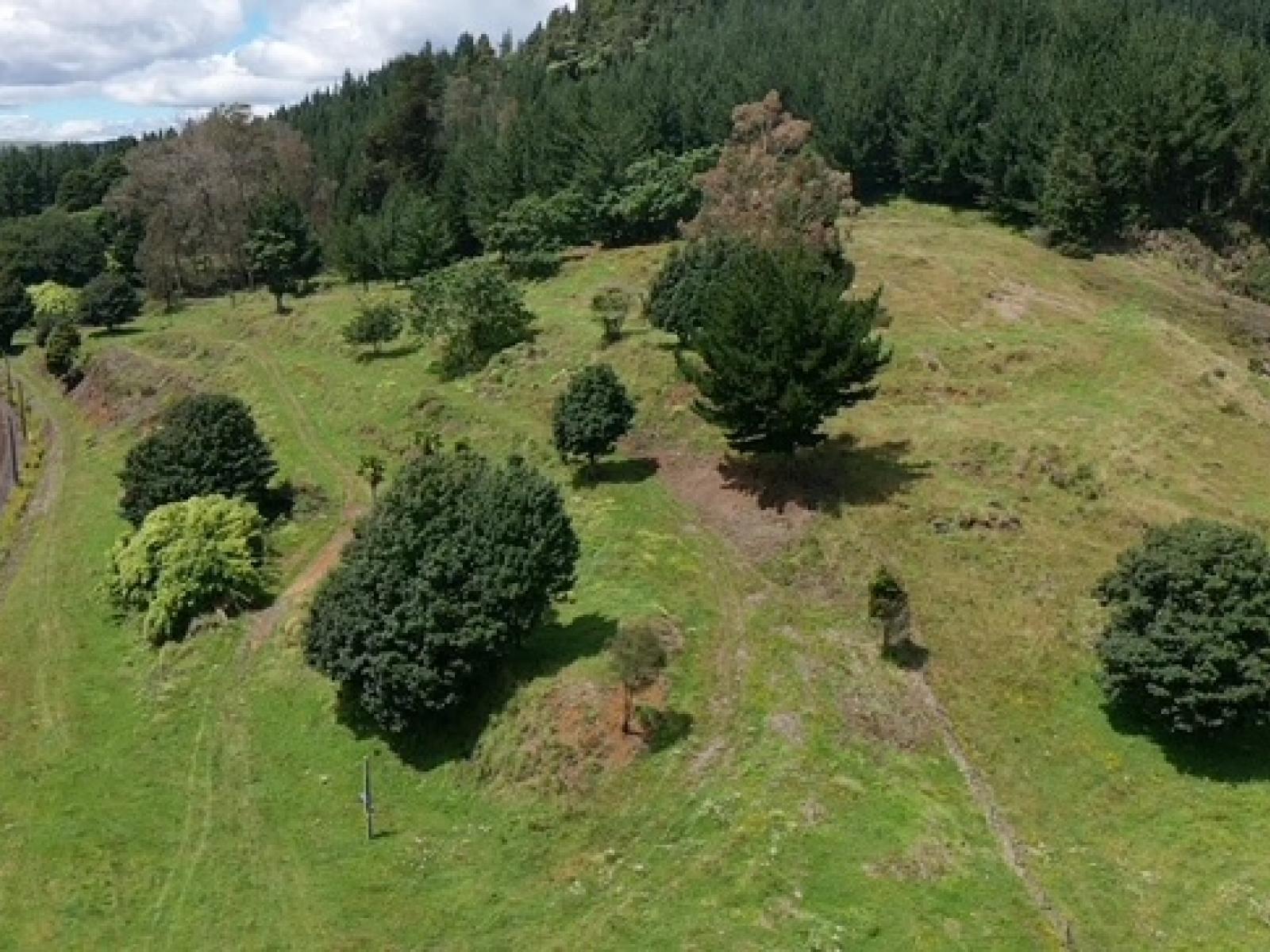 00 State Highway 30, Kopaki