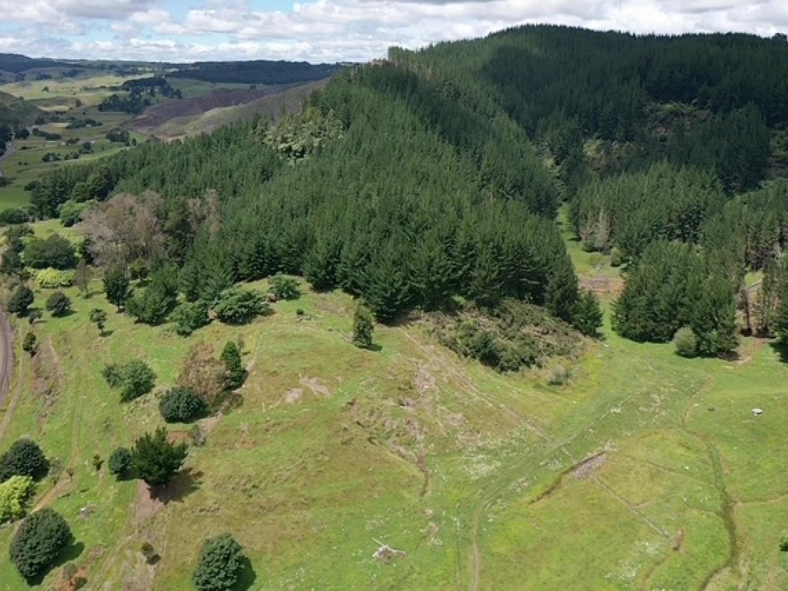 00 State Highway 30, Kopaki