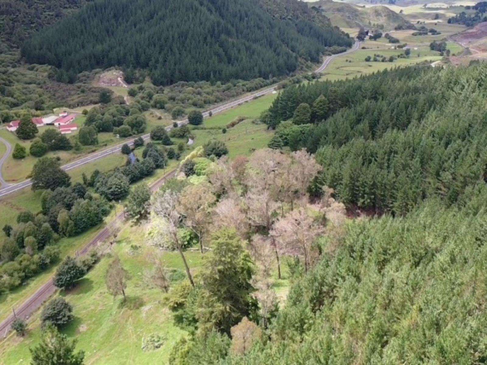 00 State Highway 30, Kopaki