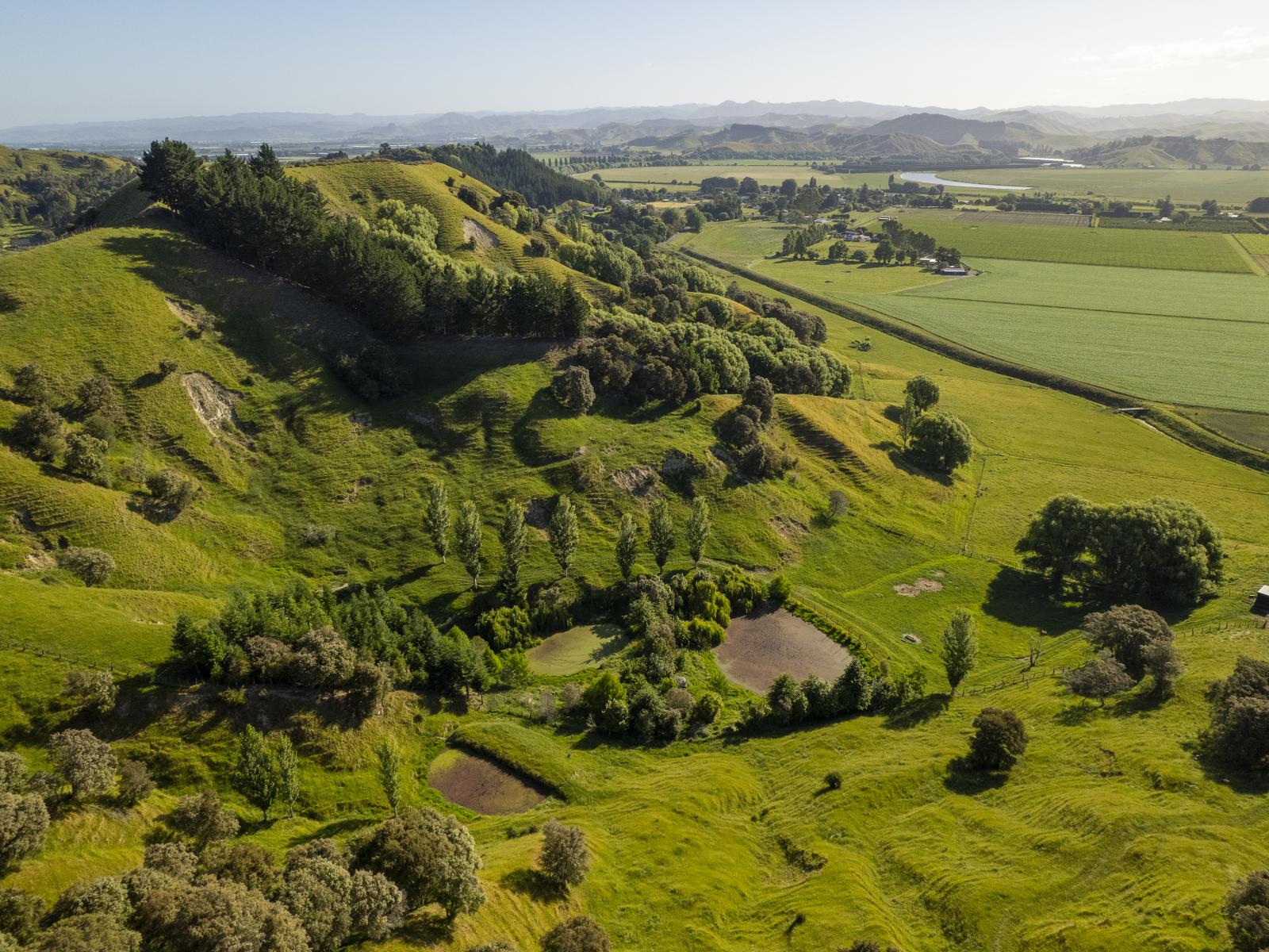 156 Bond Road, Ormond