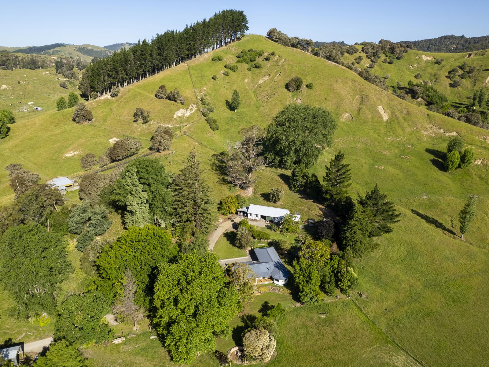 156 Bond Road, Ormond