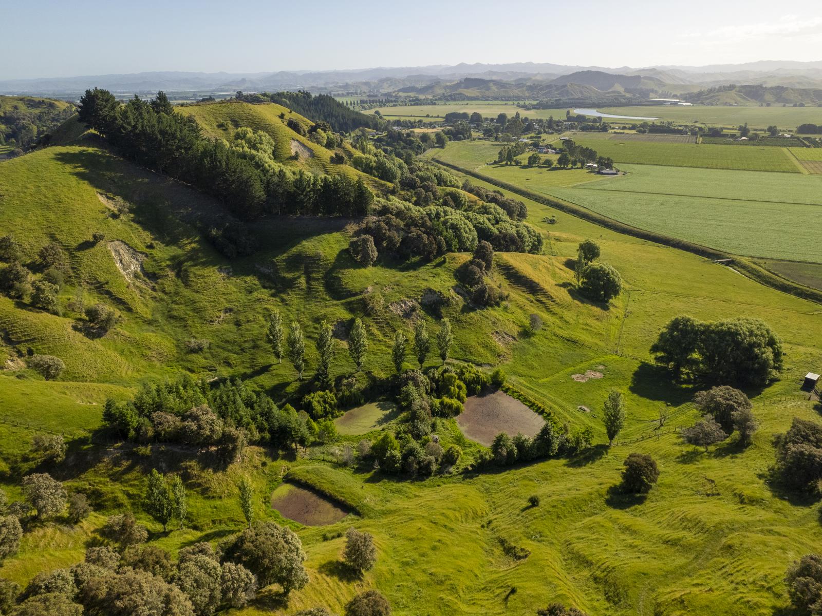 156 Bond Road, Ormond