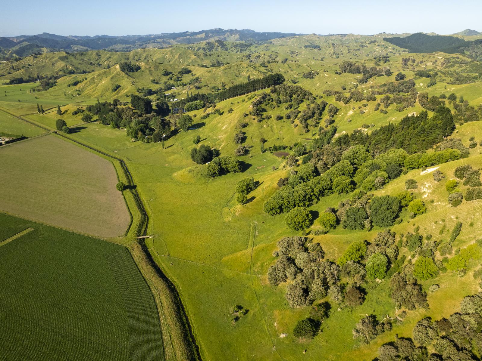 156 Bond Road, Ormond