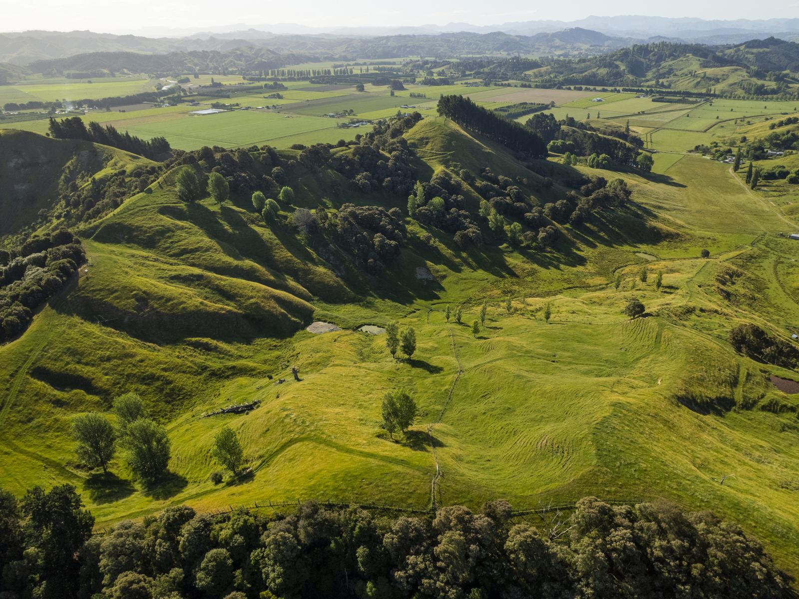 156 Bond Road, Ormond