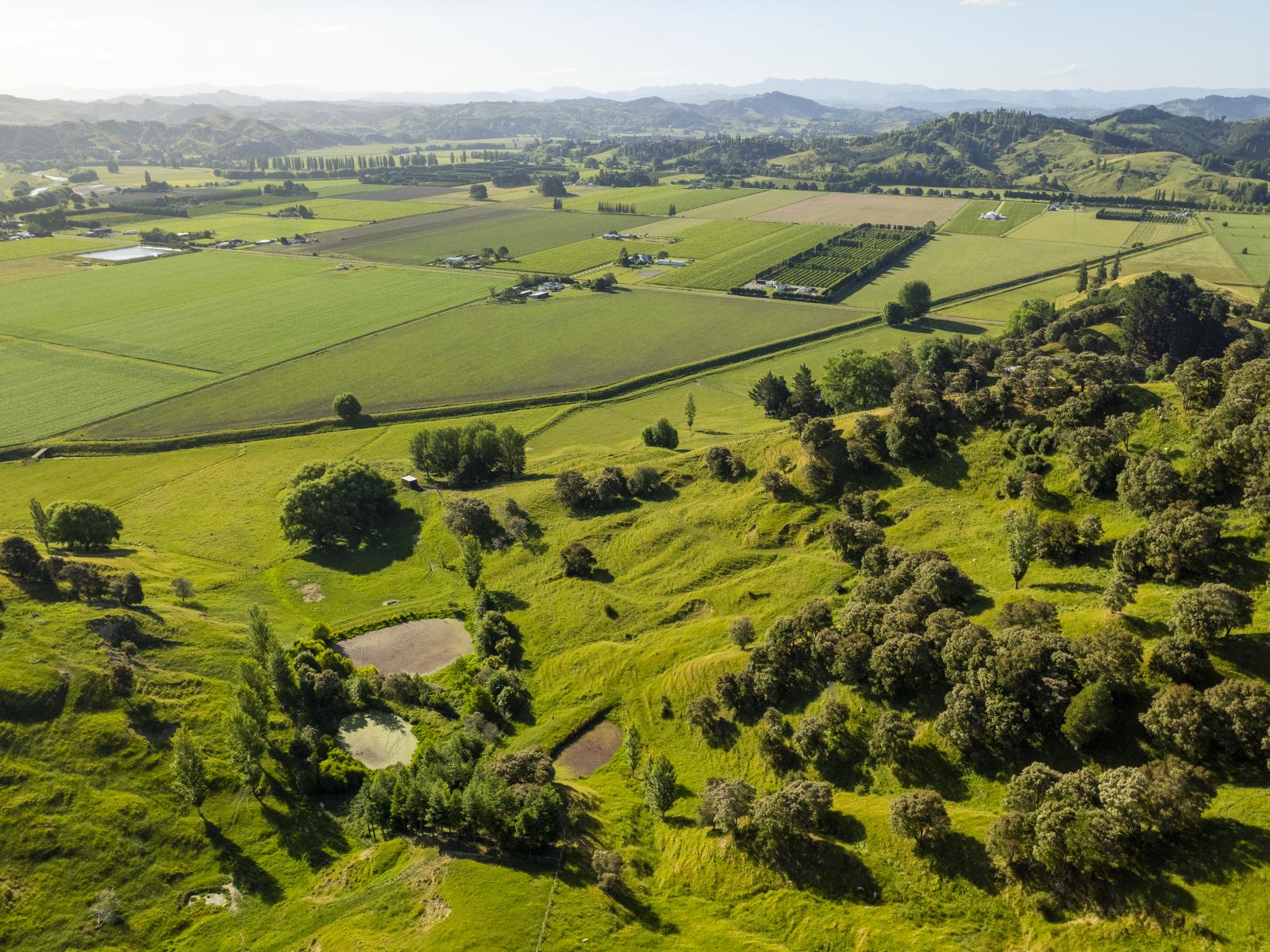 156 Bond Road, Ormond