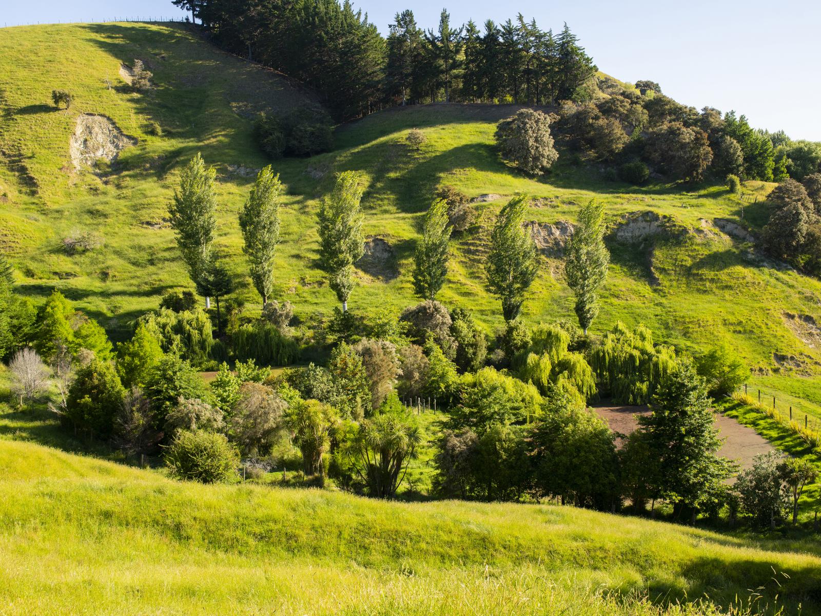 156 Bond Road, Ormond