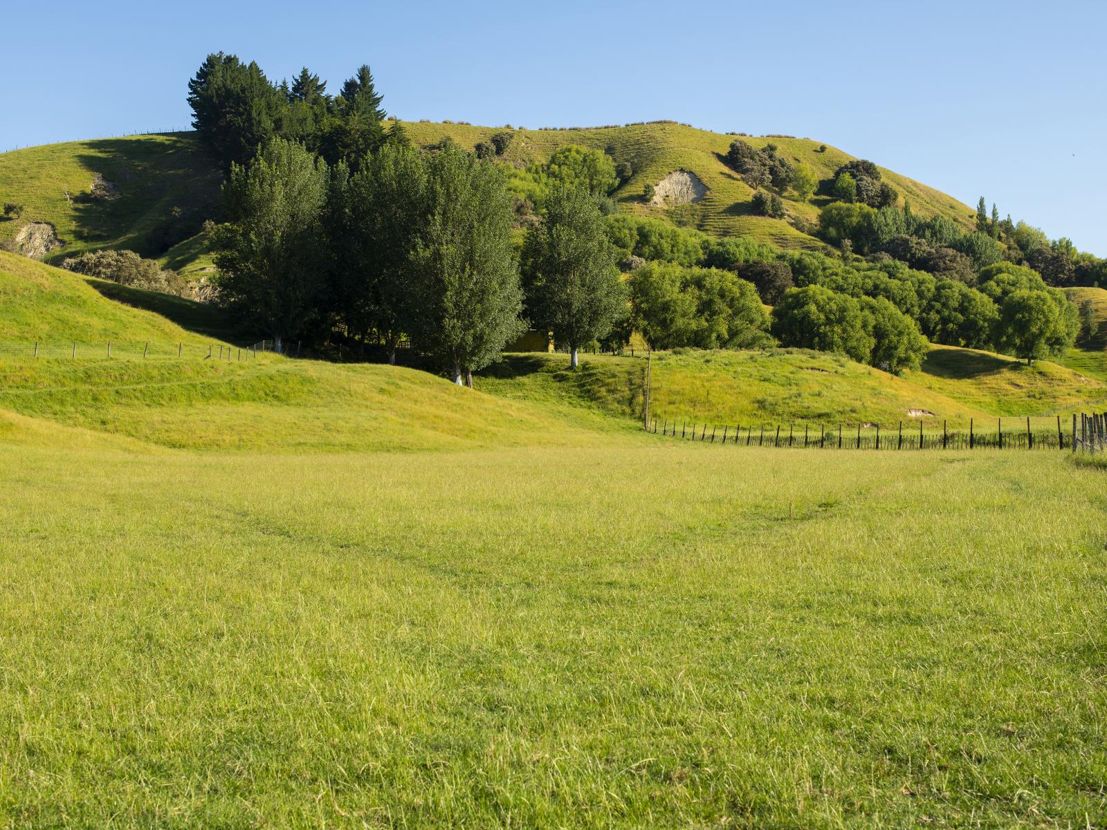 156 Bond Road, Ormond