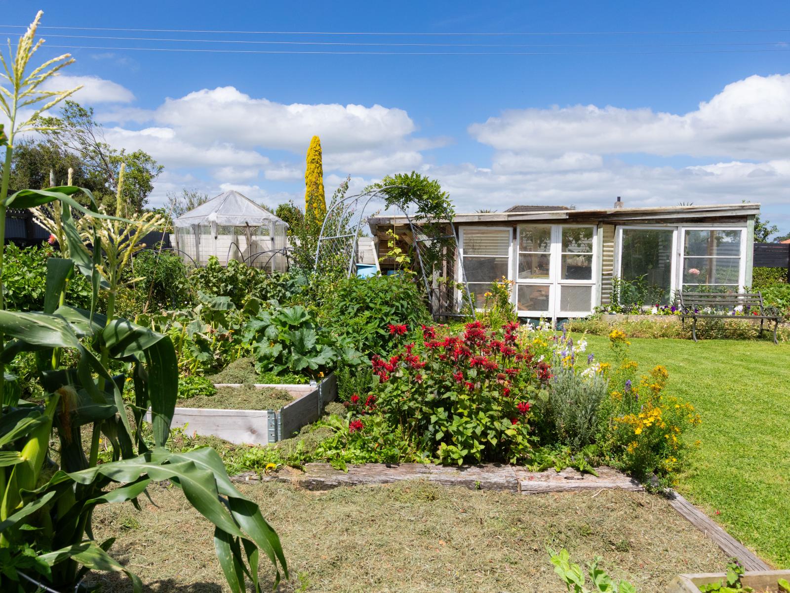 21 Hall Street, Woodville