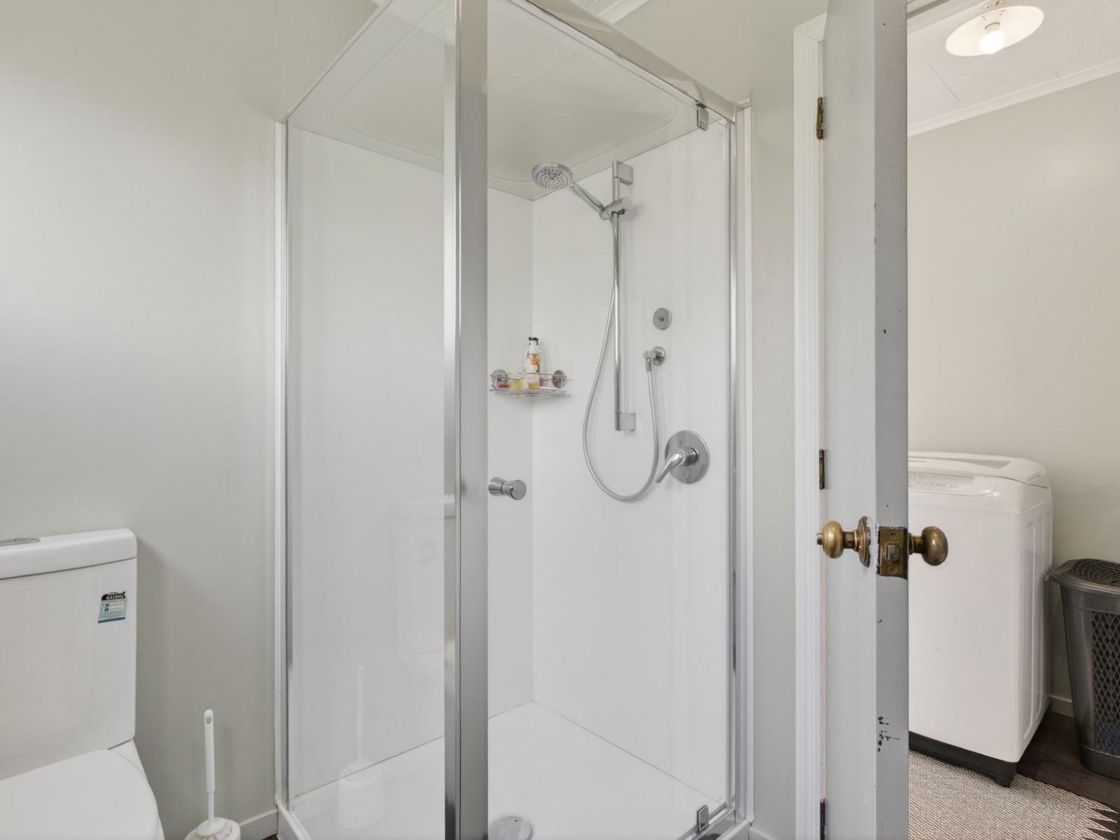 39a Albert Street, Te hapara