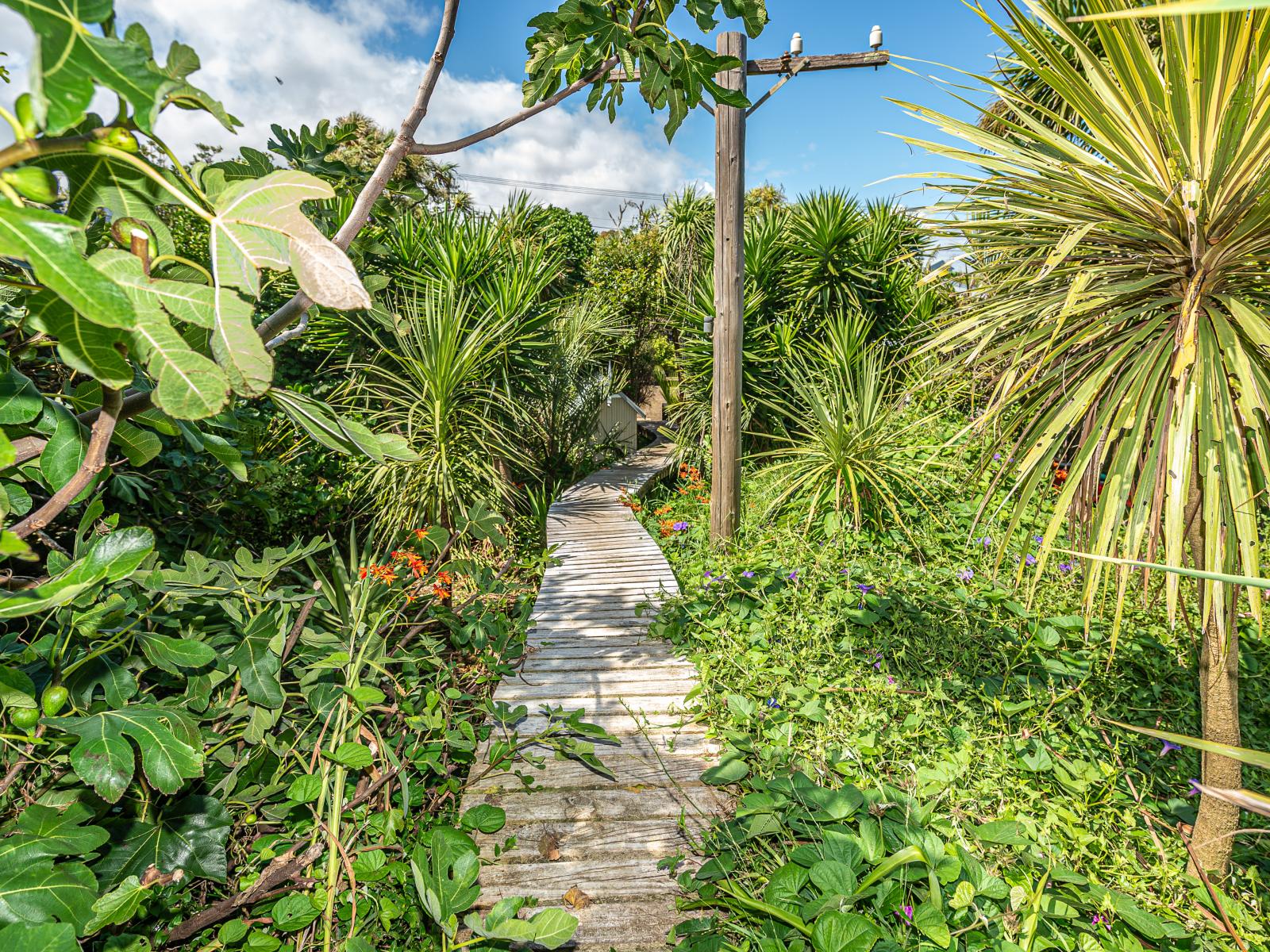 133 Cornfoot Street, Castlecliff