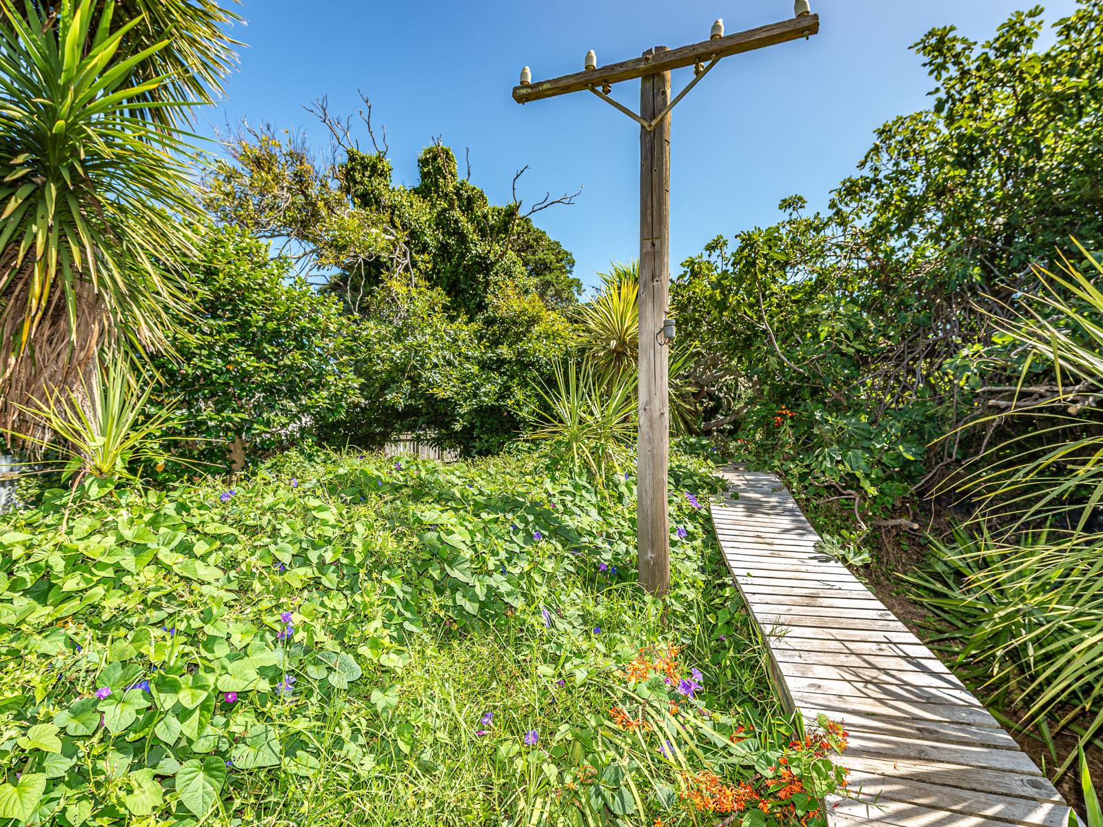 133 Cornfoot Street, Castlecliff