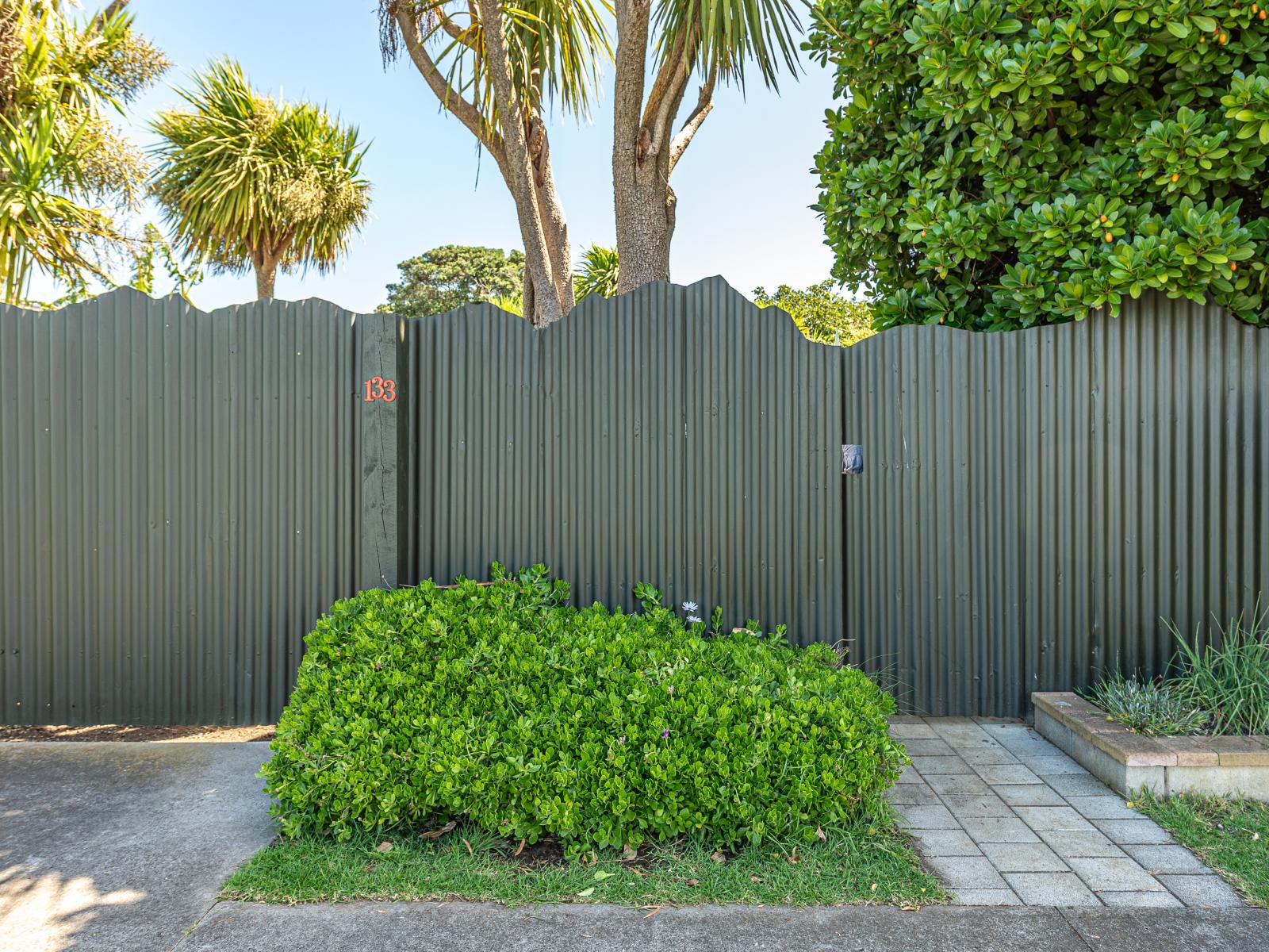 133 Cornfoot Street, Castlecliff