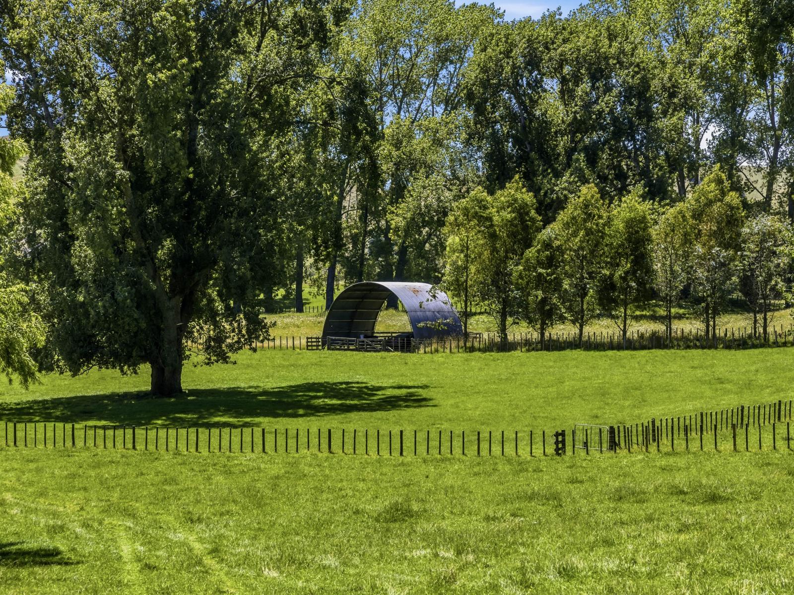 1173 Whanganui River Rd (State Highway 43), Taumarunui