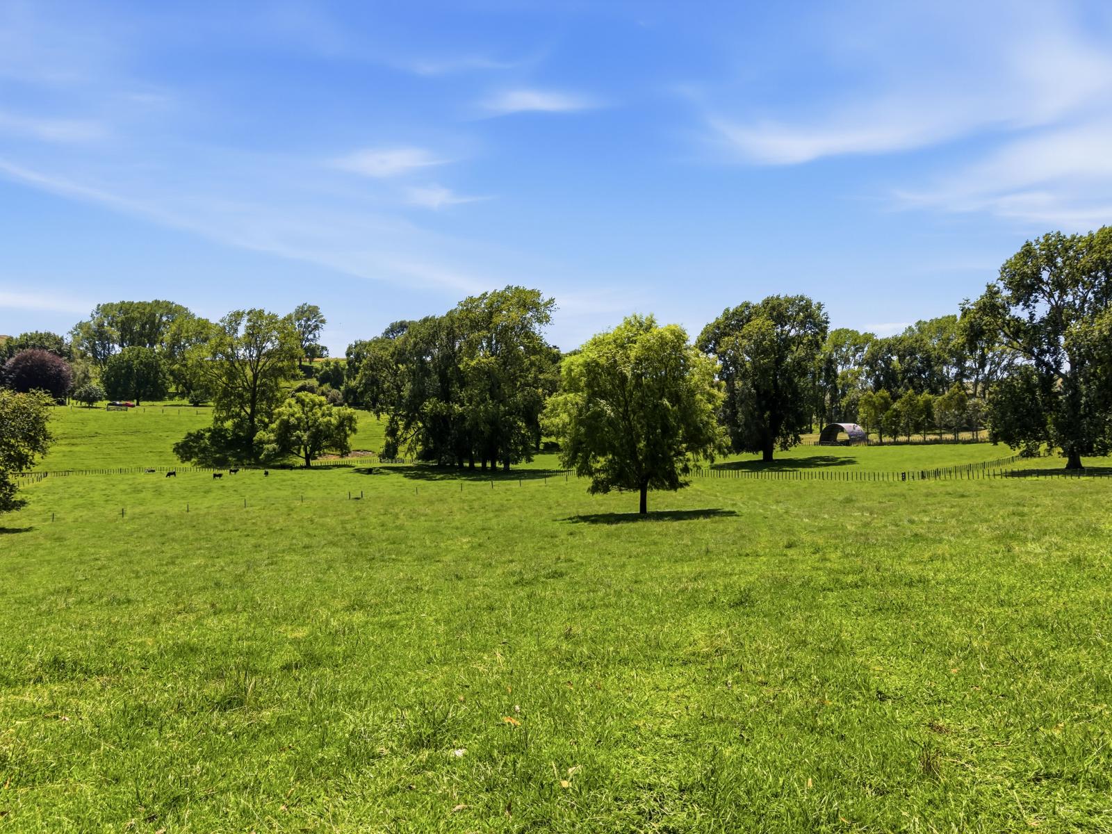 1173 Whanganui River Rd (State Highway 43), Taumarunui