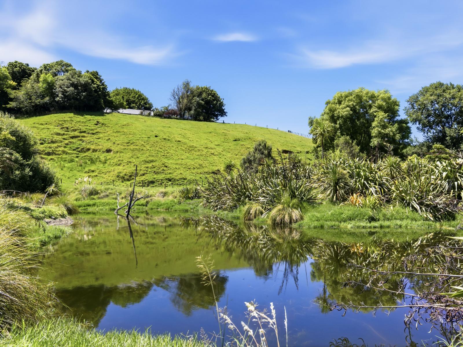 1173 Whanganui River Rd (State Highway 43), Taumarunui