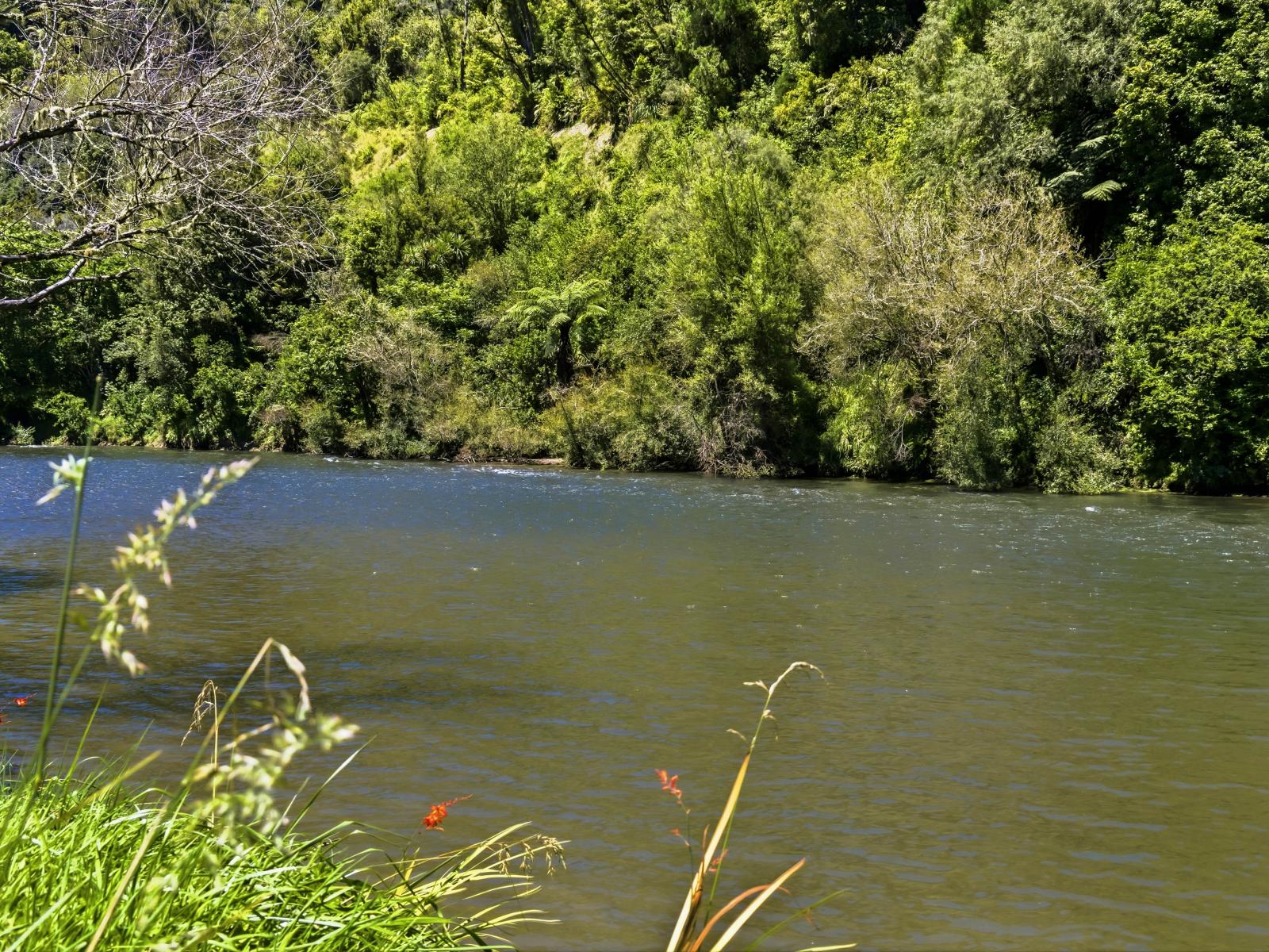 1173 Whanganui River Rd (State Highway 43), Taumarunui