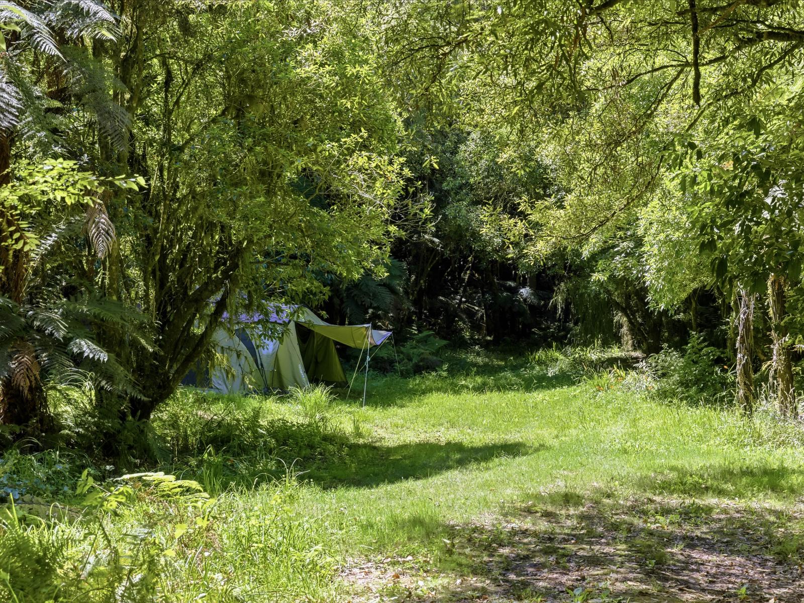 1173 Whanganui River Rd (State Highway 43), Taumarunui