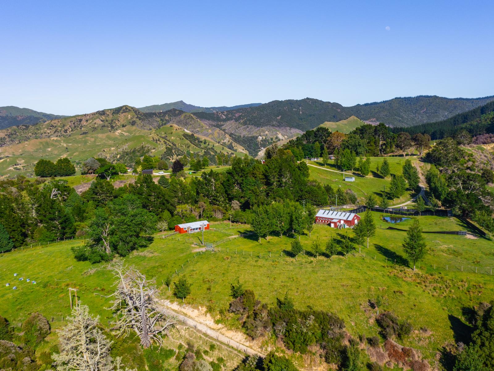 1169 Ruakaka Road, Tiniroto