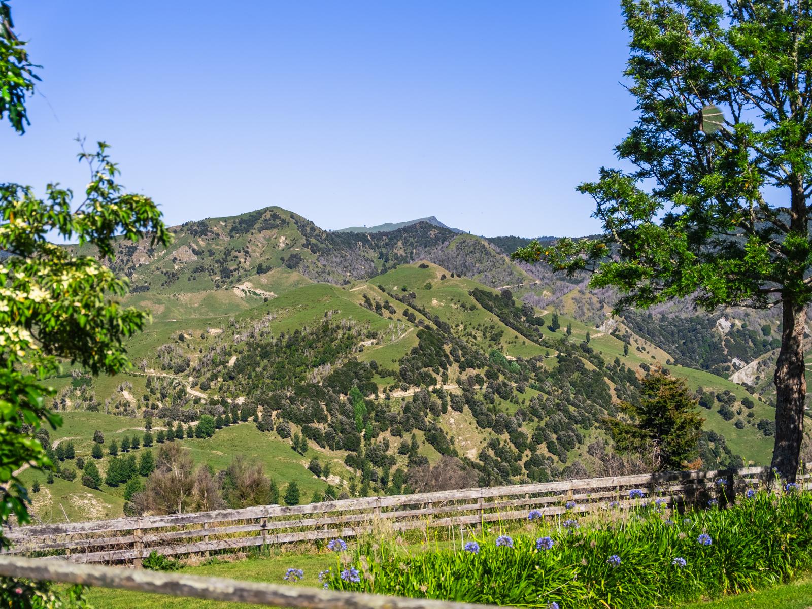 1169 Ruakaka Road, Tiniroto