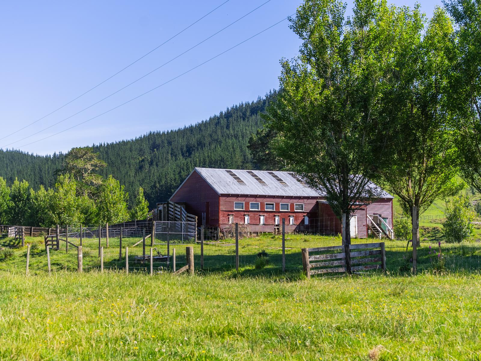 1169 Ruakaka Road, Tiniroto