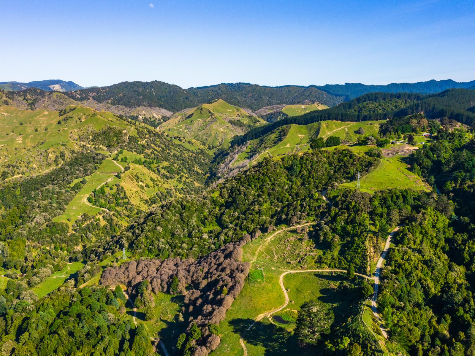 1169 Ruakaka Road, Tiniroto