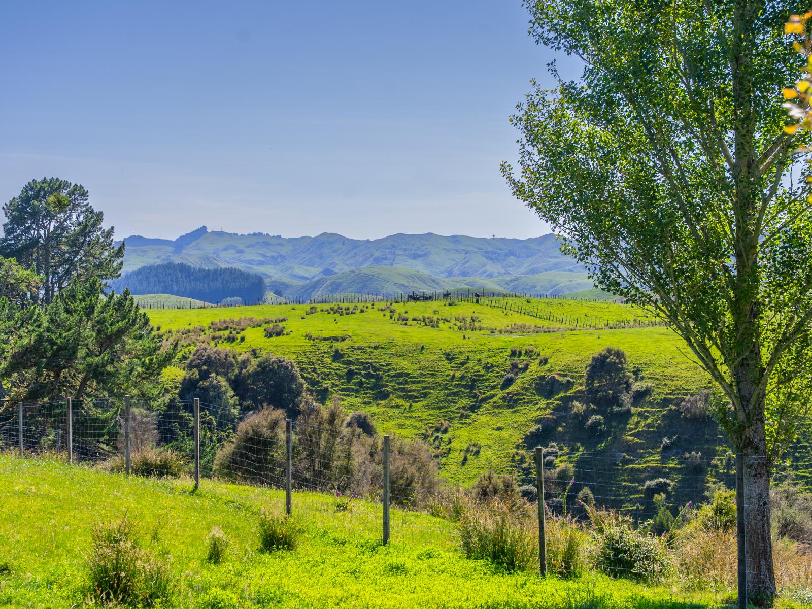 1169 Ruakaka Road, Tiniroto