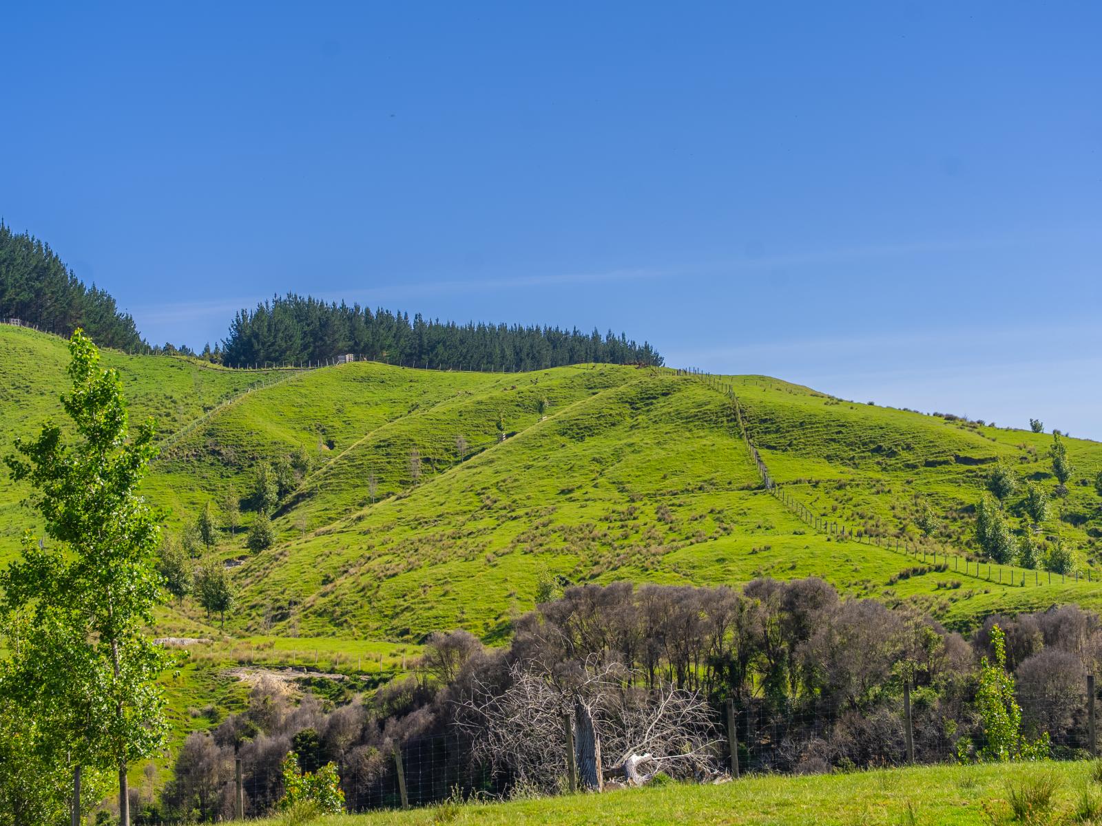 1169 Ruakaka Road, Tiniroto