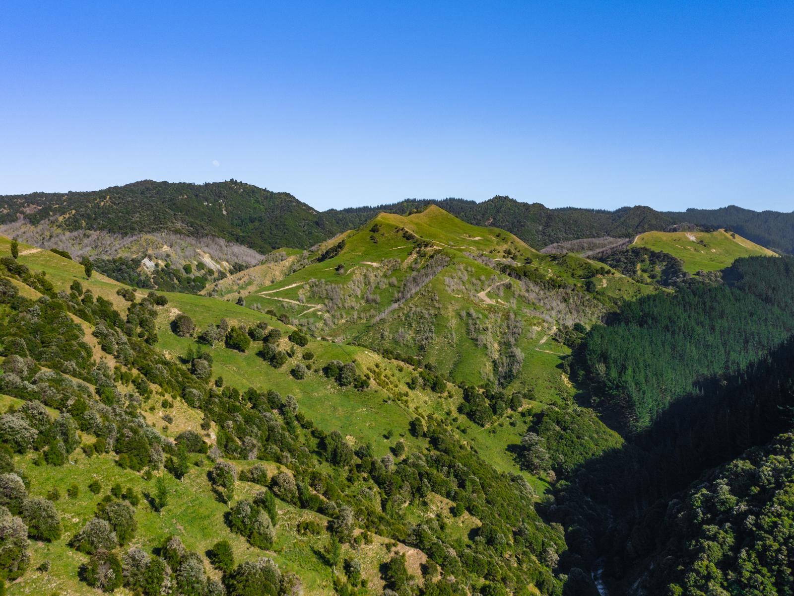 1169 Ruakaka Road, Tiniroto