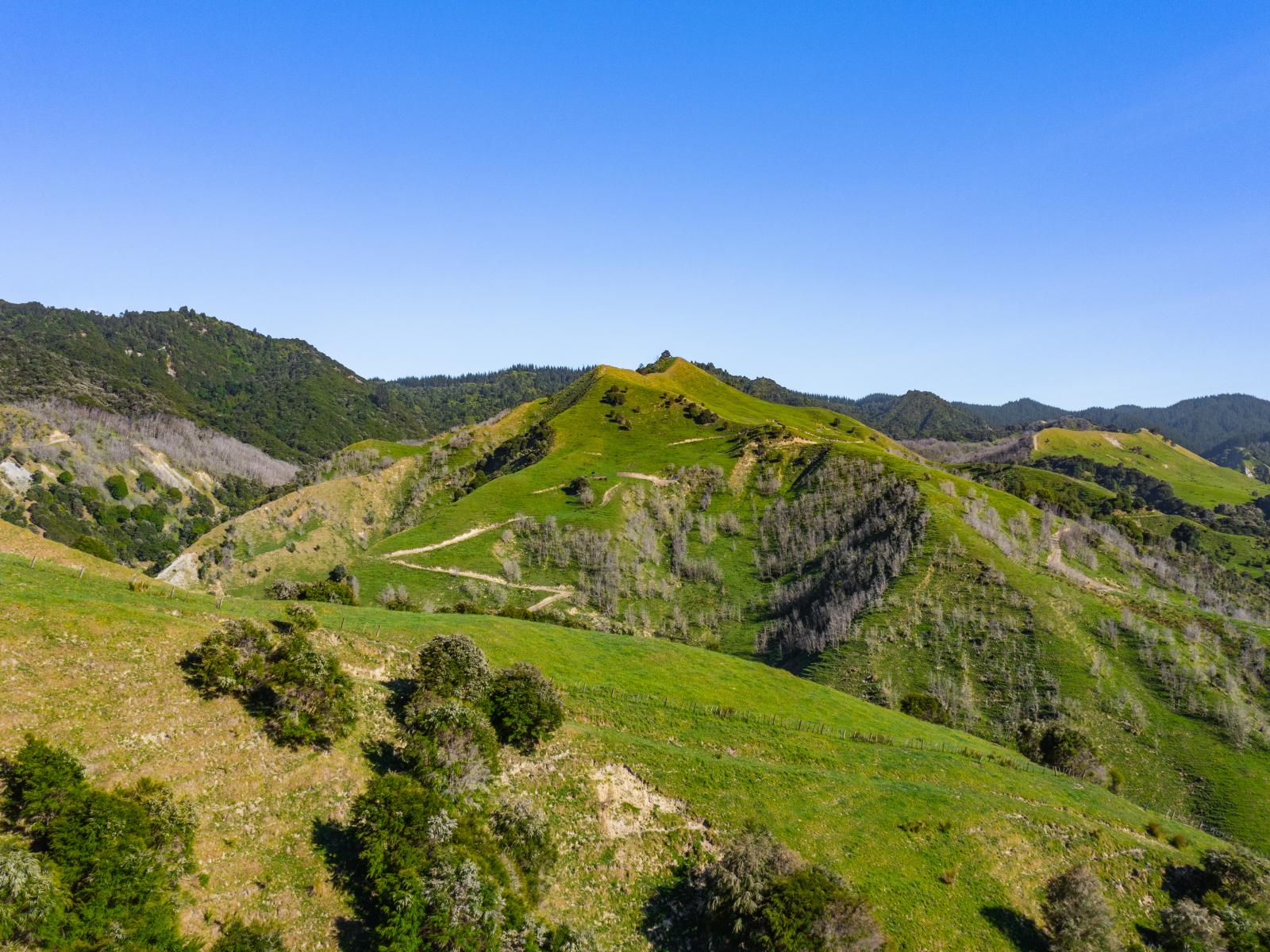 1169 Ruakaka Road, Tiniroto