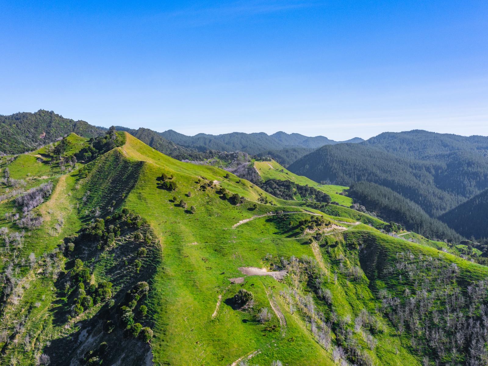 1169 Ruakaka Road, Tiniroto